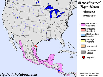 Bare-throated Tiger-Heron - Range Map