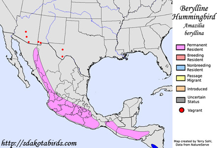 Berylline Hummingbird - Range Map