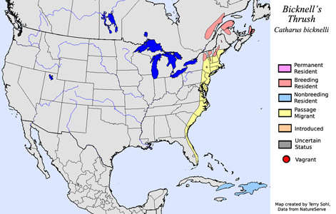 Bicknell's Thrush - Range Map
