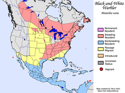 Black-and-White Warbler - Range Map