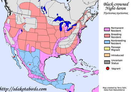 Black-crowned Night-heron - Range map