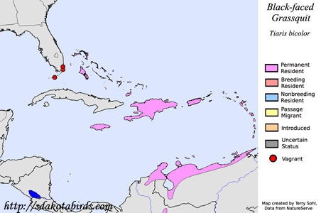 Black-faced Grassquit - Range Map