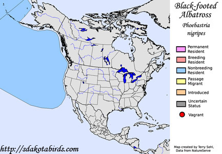 Black-footed Albatross range map