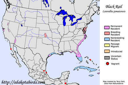 Black Rail - Species Range Map