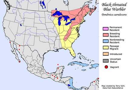 Black-throated Blue Warbler  - Range Map