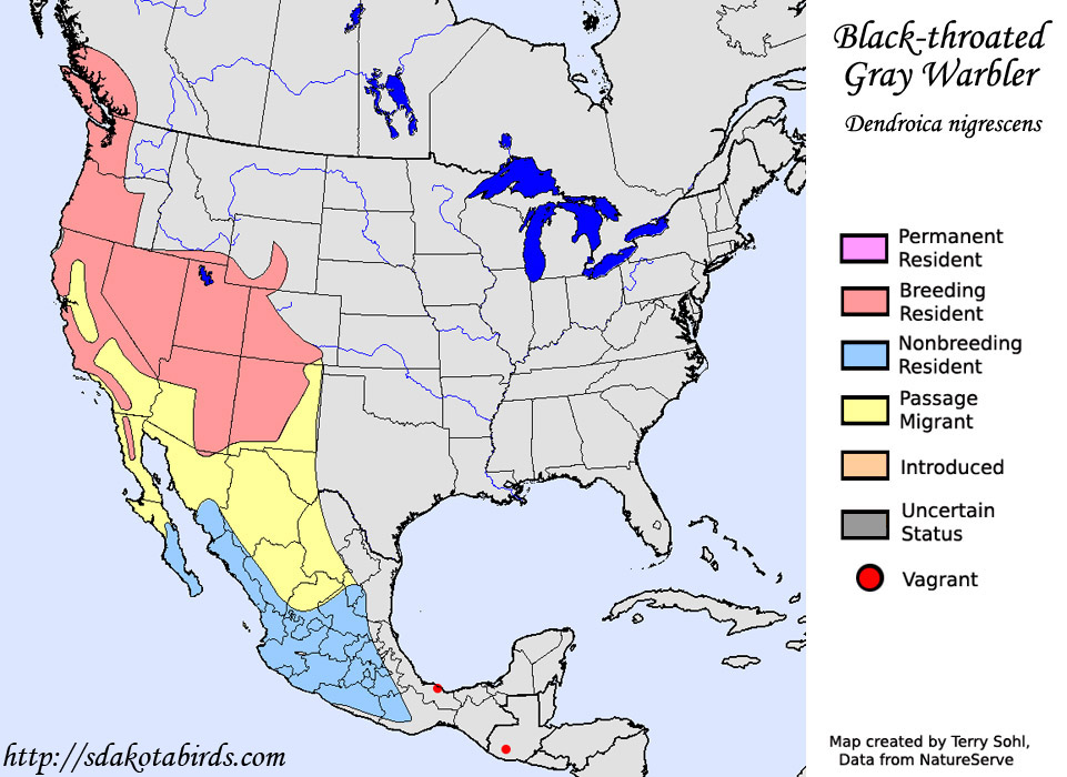 Black-throated Gray Warbler - Range Map