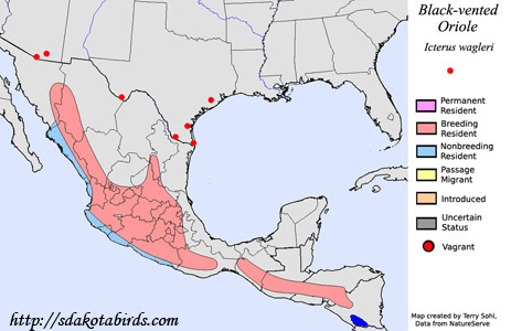 Black-vented Oriole - Range Map