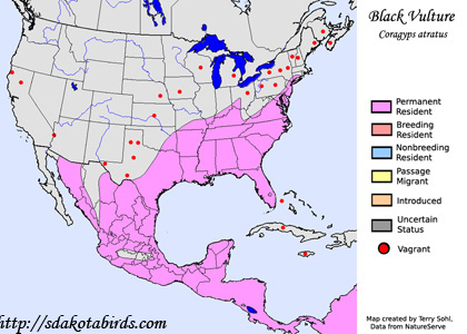 Black Vulture - Range Map