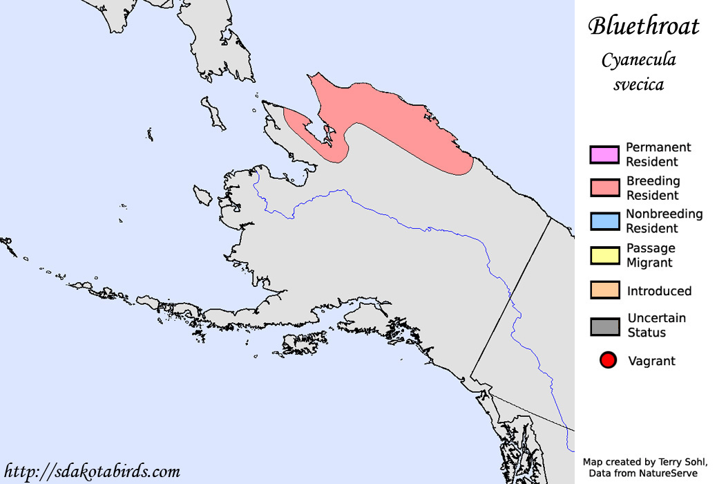 Bluethroat - North American Range Map