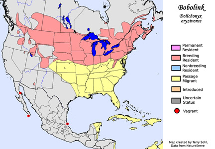 Bobolink - Species Range map