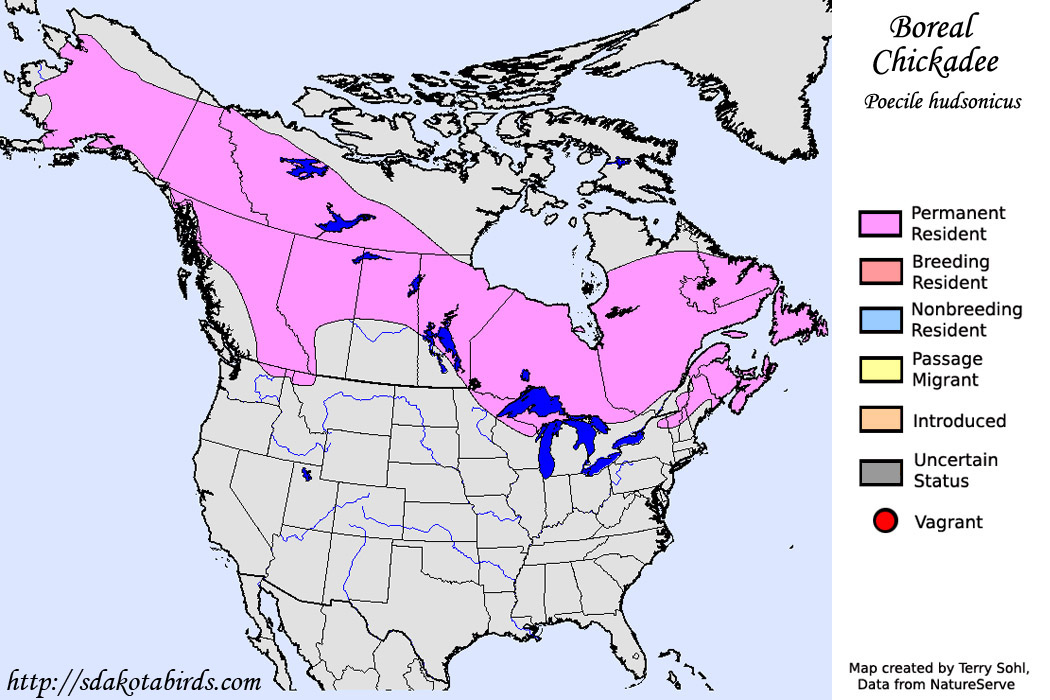 Image result for boreal chickadee range