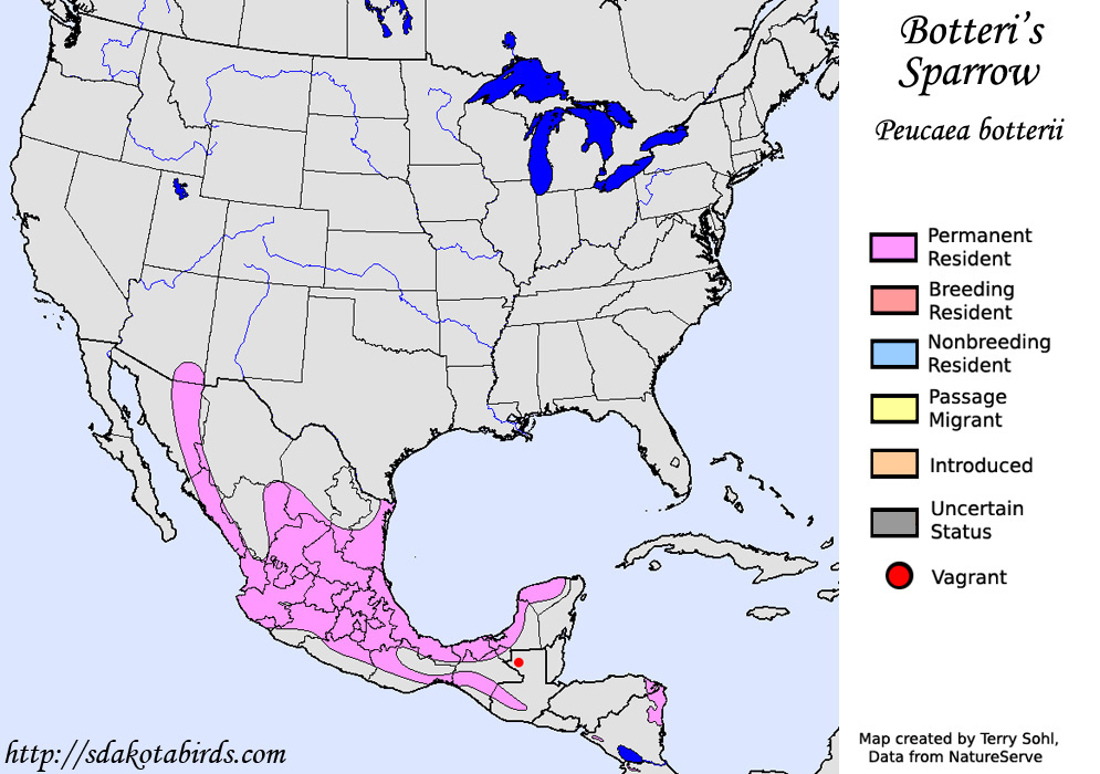 Botteri's Sparrow - North American Range Map