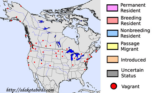 Brambling - Species Range Map