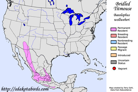 Bridled Titmouse - Range Map