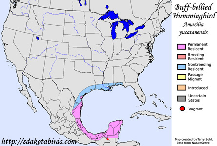 Buff-bellied Hummingbird - Range Map