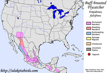 Buff-breasted Sandpiper - Range Map
