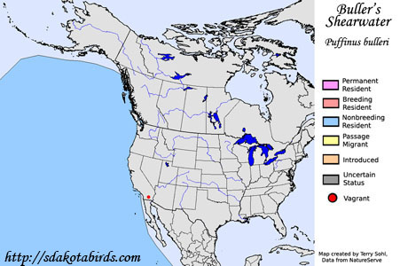 Buller's Shearwater - Range Map