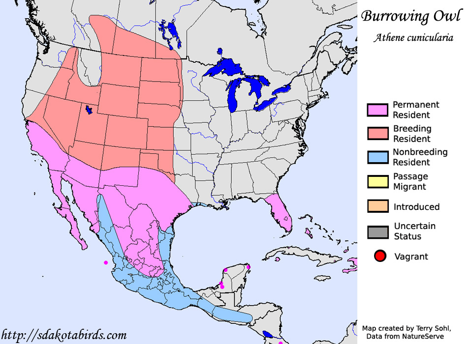 Burrowing Owl - Range Map