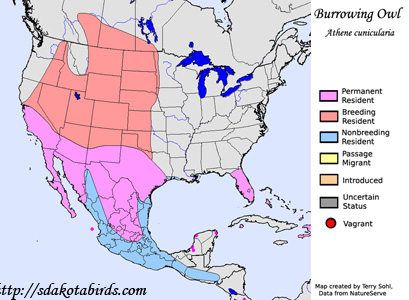 Burrowing Owl - Range Map