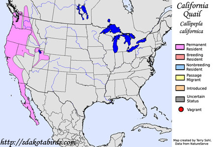 California Quail - Range Map