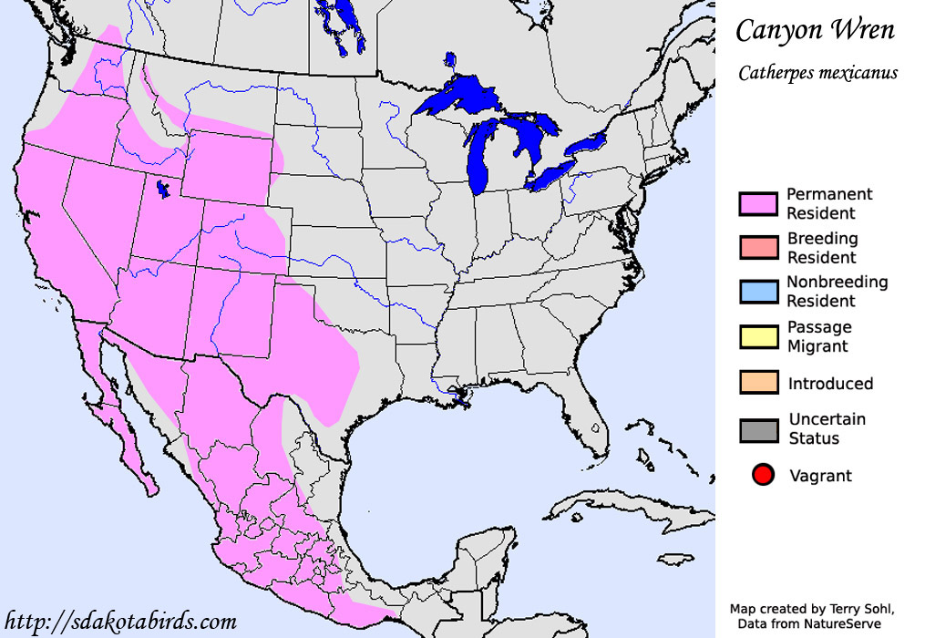 Canyon Wren - Range Map