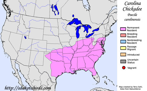 Carolina Chickadee - Range Map