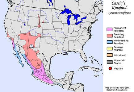 Cassin's Kingbird - Range Map