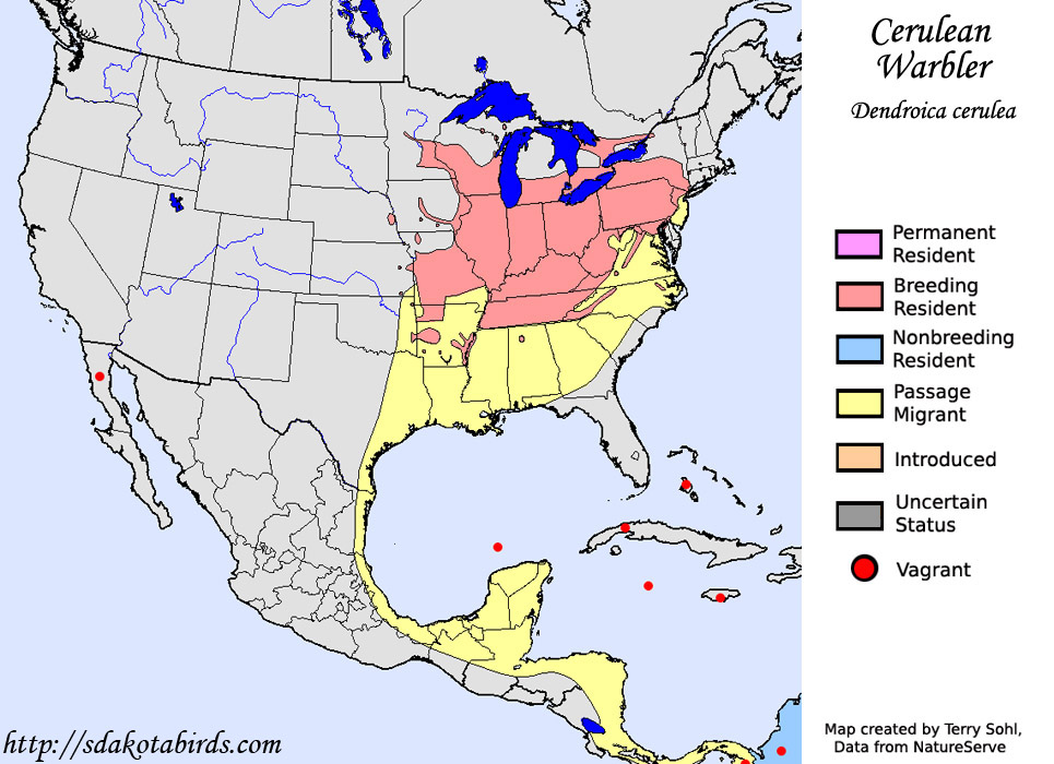 Cerulean Warbler - Range Map