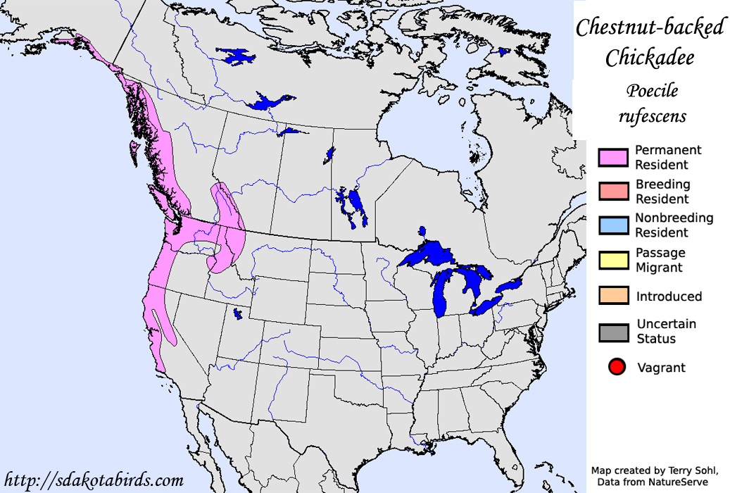 Chestnut-backed Chickadee - North American Range Map