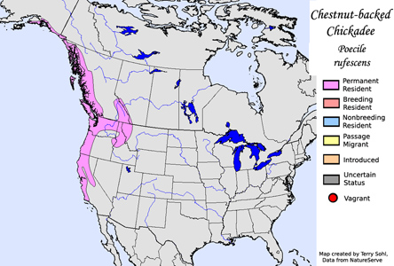 Chestnut-backed Chickadee - Range Map