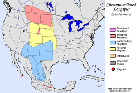 Chestnut-collared Longspur - Range Map