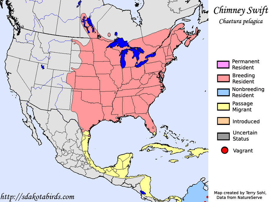 Chimney Swift Species Range Map