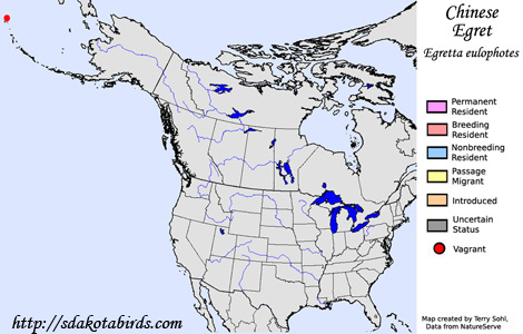 Chinese Egret - Range Map
