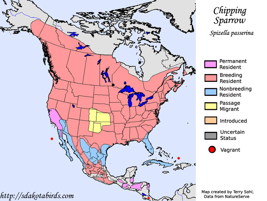 Chipping Sparrow - Range Map