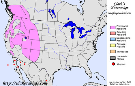Clark's Nutcracker - Range Map