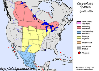Clay-colored Sparrow - Range Map