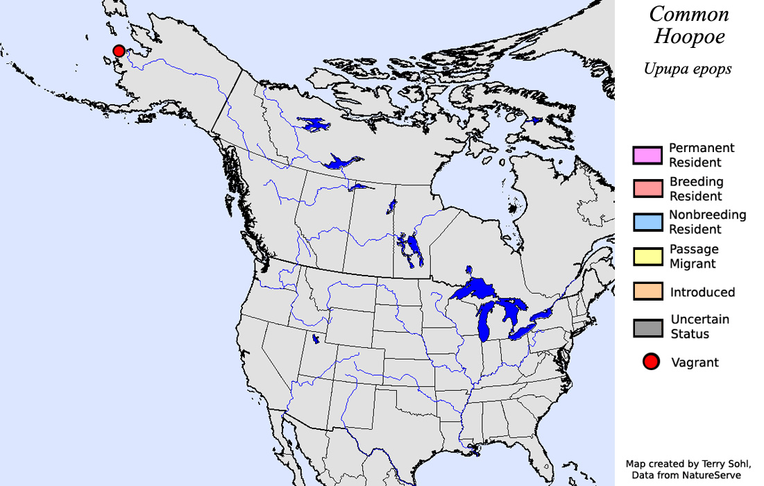 Common Hoopoe - North American Range Map