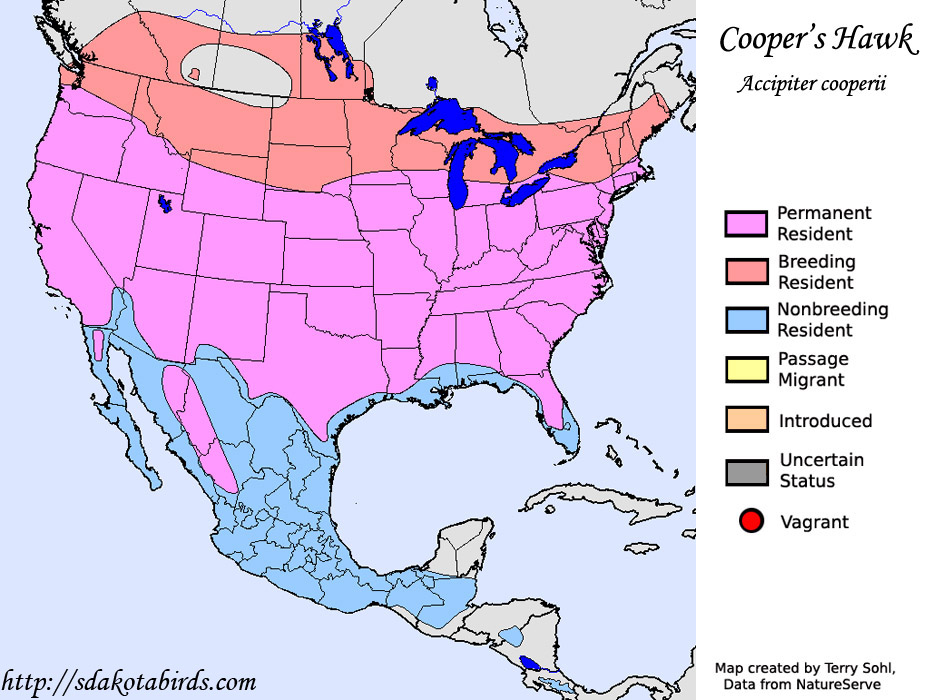 Cooper's Hawk Species Range Map