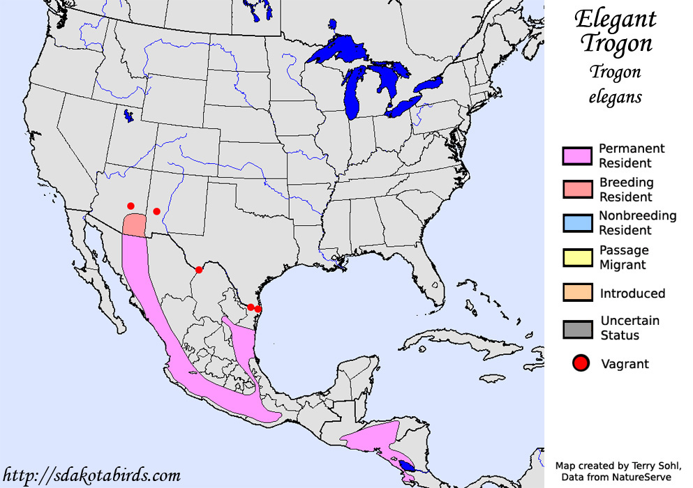 Elegant Trogon - North American Range Map