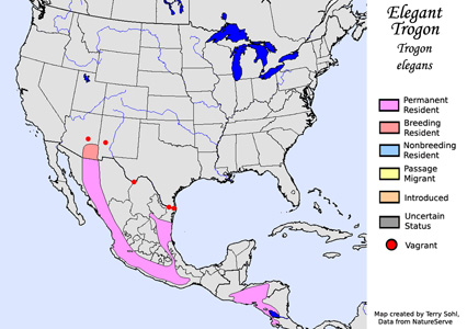Coppery-tailed Trogon - Range Map