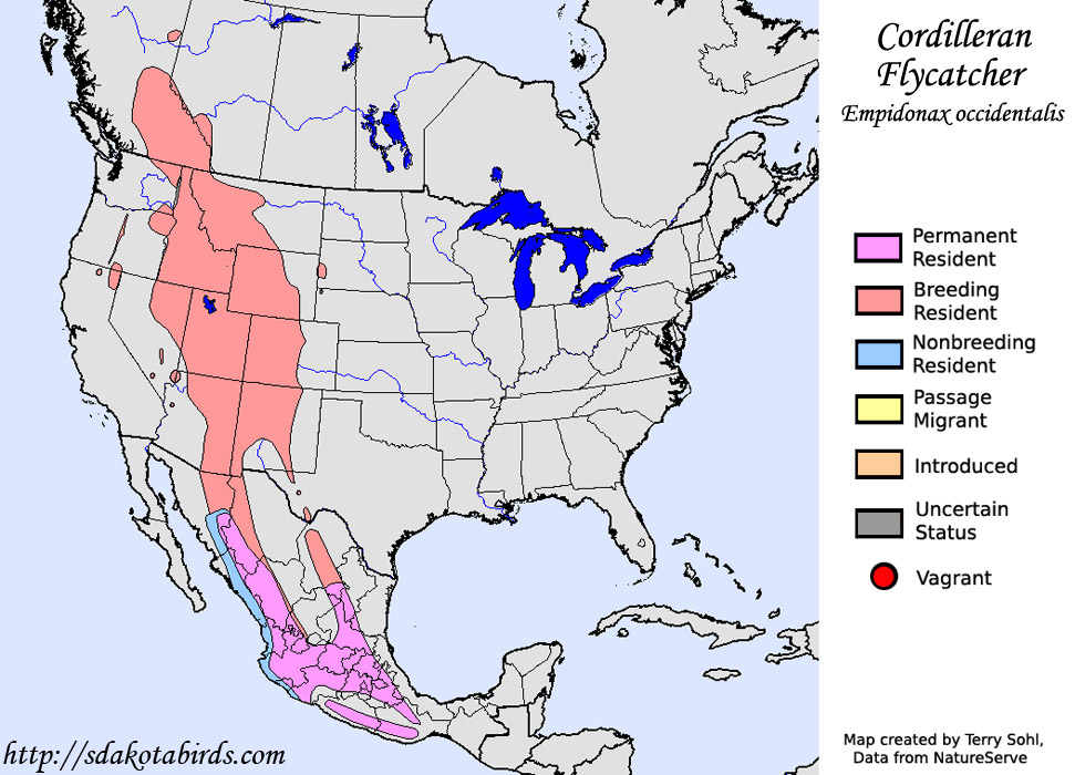 Cordilleran Flycatcher - Range Map