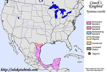 Couch's Kingbird - Range Map