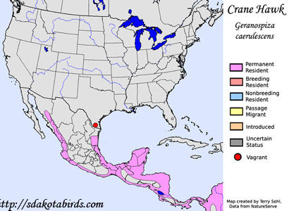 Crane Hawk - Range Map