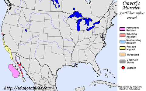 Craveri's Murrelet - Range Map