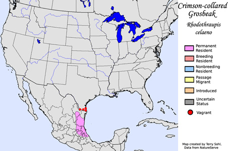 Crimson-collared Grosbeak - Range Map