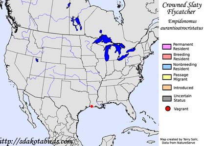 Crowned Slaty Flycatcher - Range Map