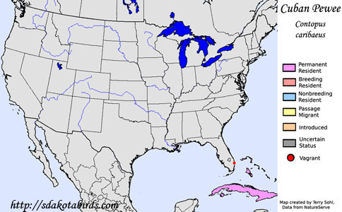 Cuban Pewee range map