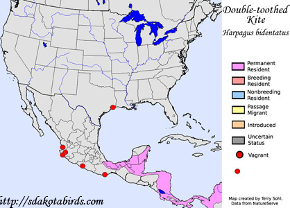 Double-toothed Kite - Range Map