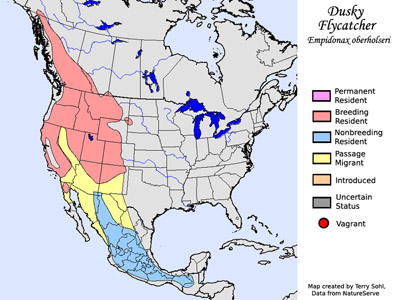 Dusky Flycatcher - Range Map
