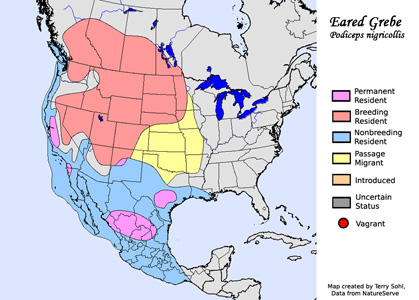 Eared Grebe - Range Map